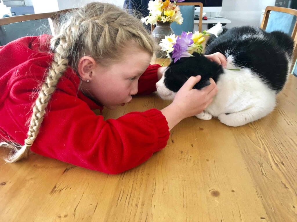 A person spending time with a cat